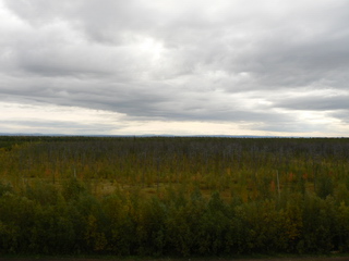 Нажмите для увеличения!